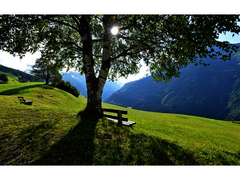 Gasthof Steinerkogl – Pension / Apartment