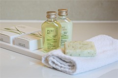 Guest room bath