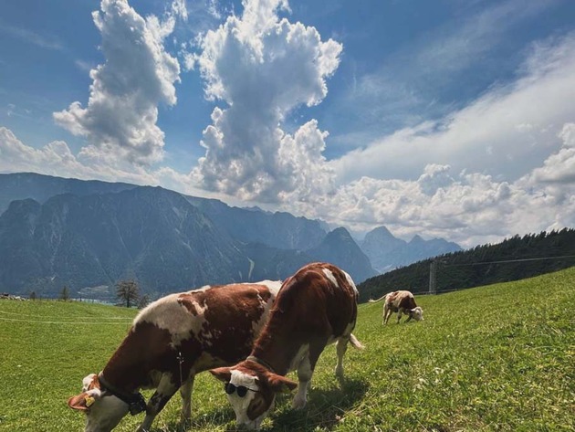 Berggasthaus Dalfaz Alm