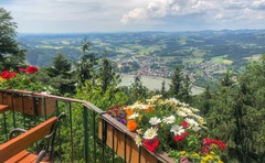 Blick auf Grein vom Brandstetterkogel-Schutzhaus