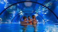 Aquarium Familiy World Alpentherme Gastein