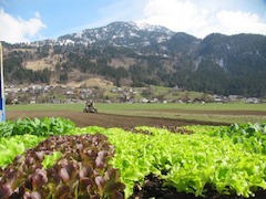 FRI-MA BIOHOF - Tobias Marte 6713 Ludesch