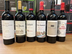 kleine Auswahl unserer Spanischen Weine