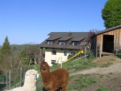 Ferienhof Schneiderweg