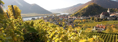 Gasthof Goldenes Schiff - Wachau