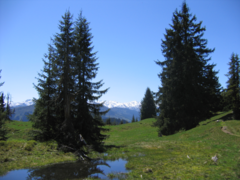 Schatzberg-Haus Auffach - In der Naturkulisse der Kitzbüheler Alpen finden unsere Gäste die ersehnte Ruhe und Erholung