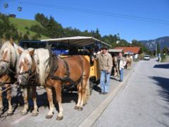 Schatzberg-Haus Auffach - Mit der Pferdekutsche geht es zum Kräutergarten auf dem hoch gelegenen Bergbauernhof