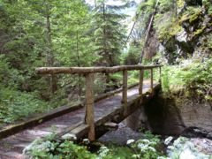 Schatzberg-Haus Auffach - Durch das ganze Hochtal Wildschönau ziehen sich gut ausgebaute Wanderwege