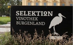 Logo vor Selektion