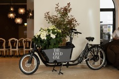 Hotel The Cloud One Wien-Staatsoper - Design