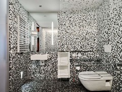 Guest Room Accessible Bathroom