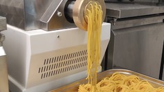 Crocodiles Pasta