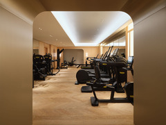 The Gym at Mandarin Oriental, Vienna.
