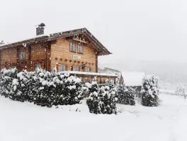 Ötztal Chalet in 6432 Sautens:
