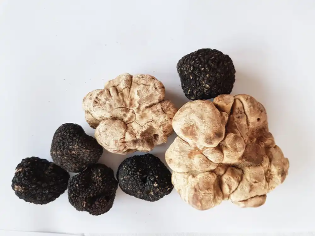 Trüffel-Kaviar & Co Handels GmbH