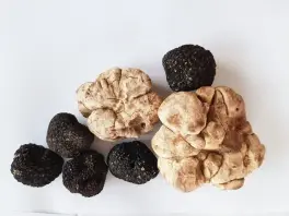 Trüffel-Kaviar & Co Handels GmbH in 5081 Anif: