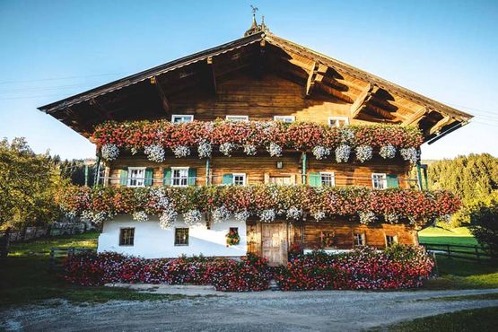 Absolute Active Mountain Resort