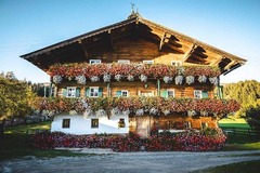 Absolute Active Travel & Resorts