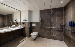 Handicap Room Bath