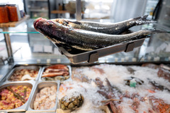 Gastro Fisch Brac